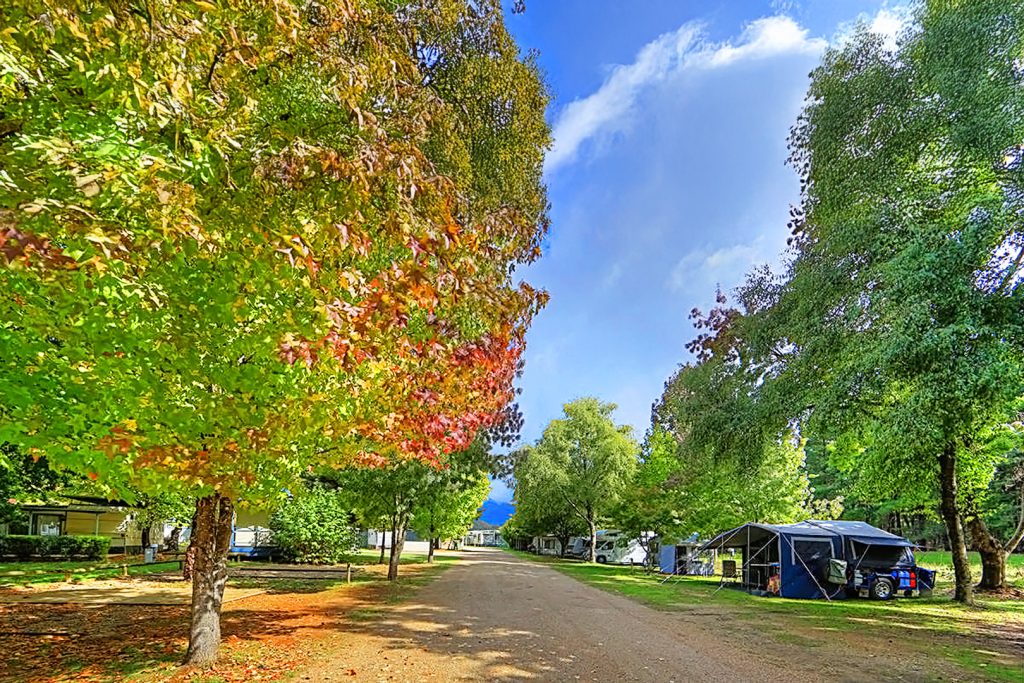 03-bright-valley-holiday-park-powered-site Bright Porepunkah Holiday Park, Powered caravan and camping site at Bright Valley Holiday Park in Porepunkah, Grassy Area, Plenty of Shade