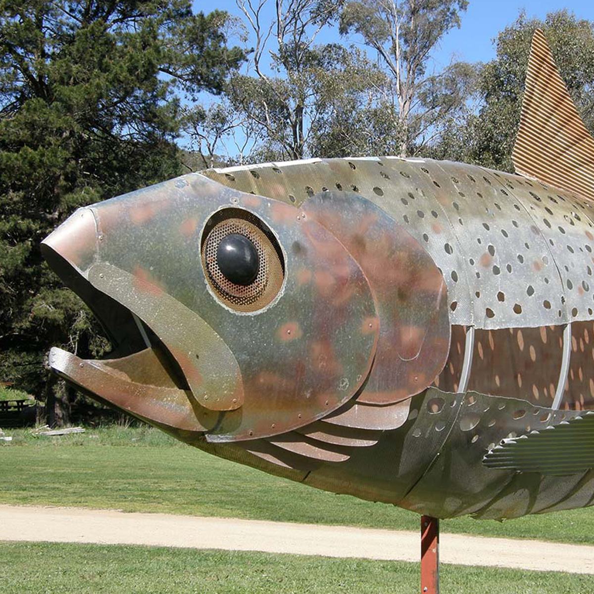 Bright Porepunkah Holiday Park, Trout Farm